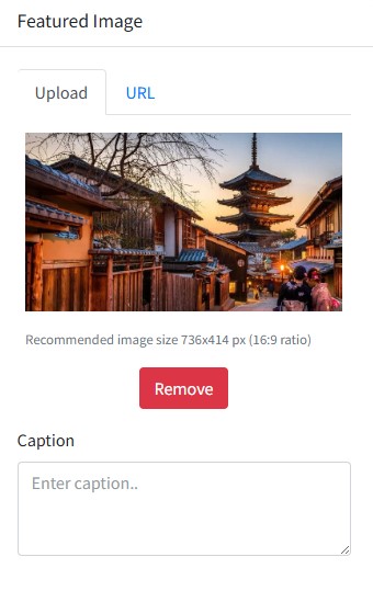 featured image upload edit